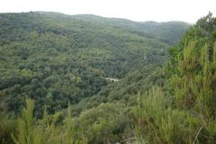 DSC04800
